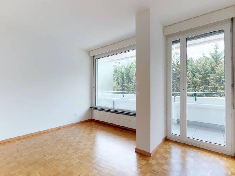 Bel appartement - Genève (7)