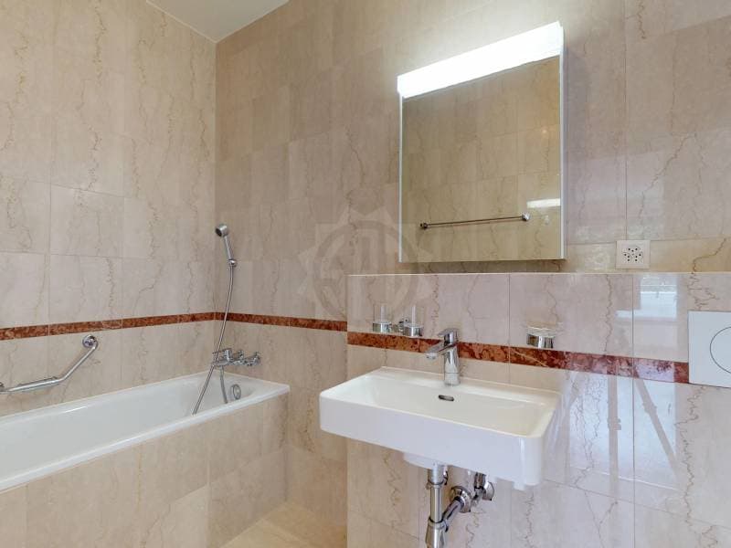 Bel appartement - Genève (9)