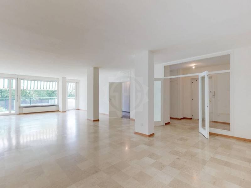 Bello appartamento - Ginevra (5)