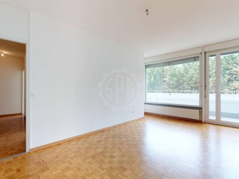 Bel appartement - Genève (6)