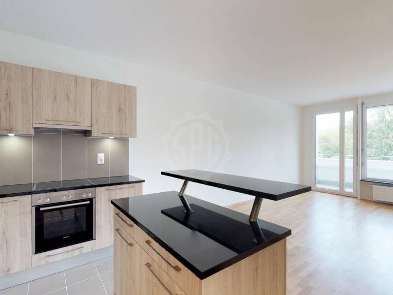 Schönes Apartment - Genf (4)