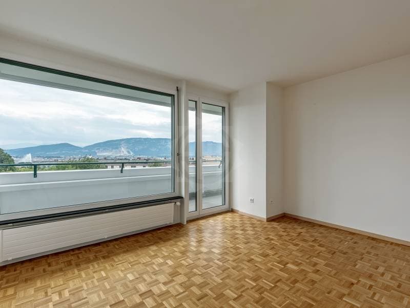 Appartement exceptionnel - Genève (6)