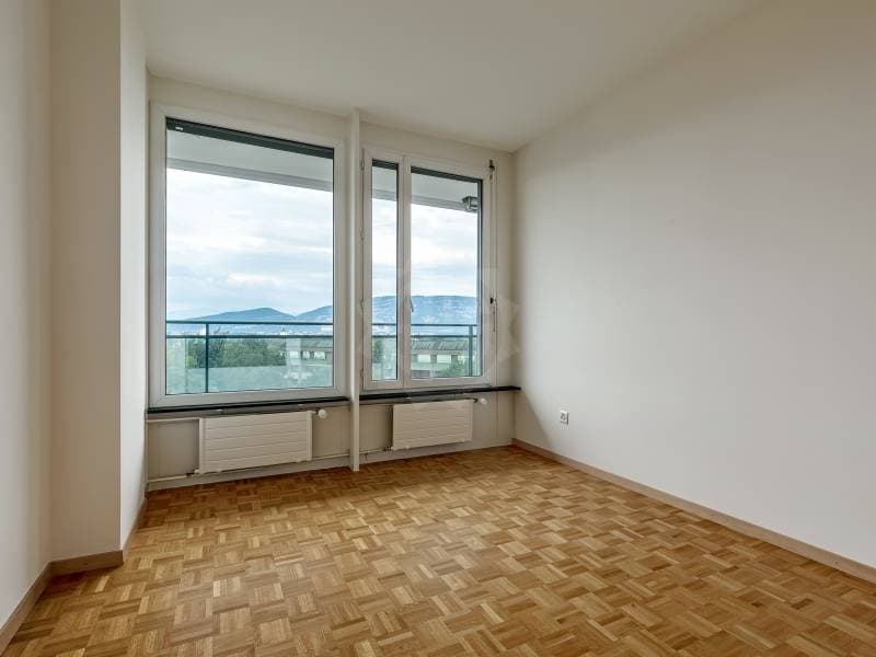 Appartement exceptionnel - Genève (7)