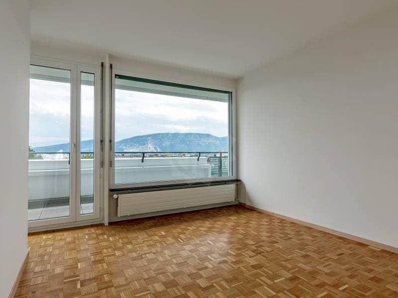 Appartement exceptionnel - Genève (8)