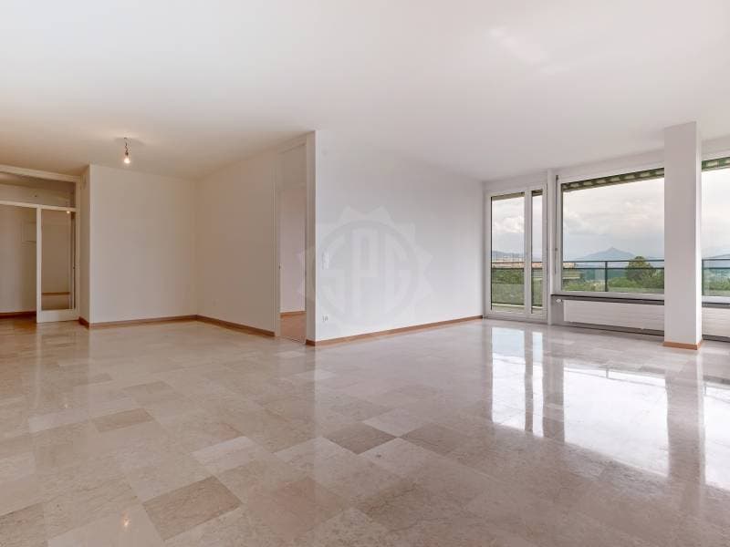 Appartement exceptionnel - Genève (4)