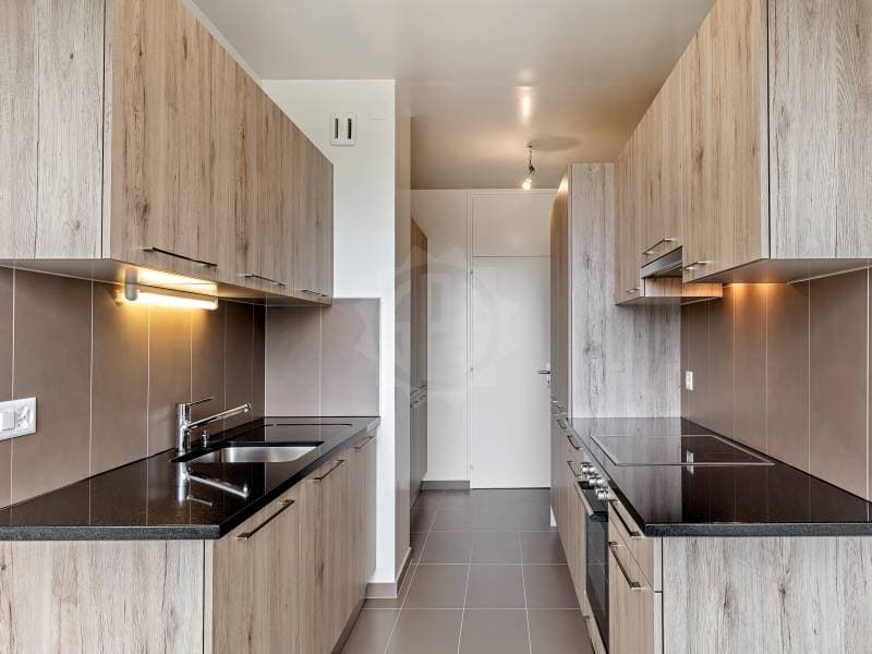 Appartement exceptionnel - Genève (5)