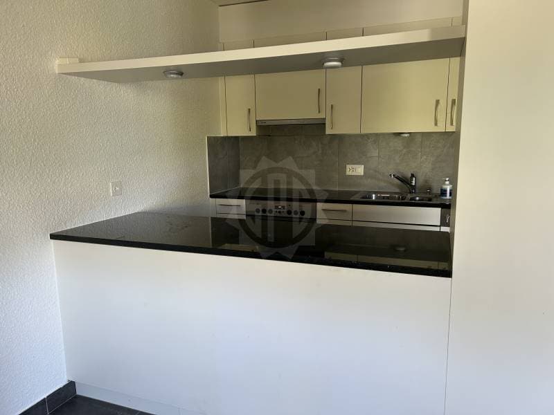 Super Apartment - Yverdon-les-Bains (2)