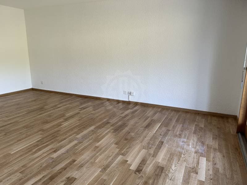 Super Apartment - Yverdon-les-Bains (3)
