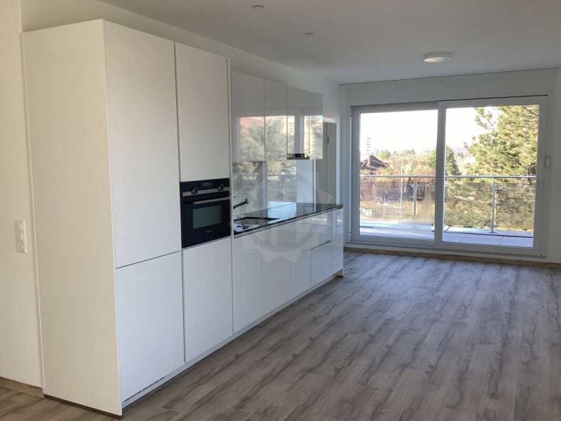 Apartment - Grand-Lancy (1)