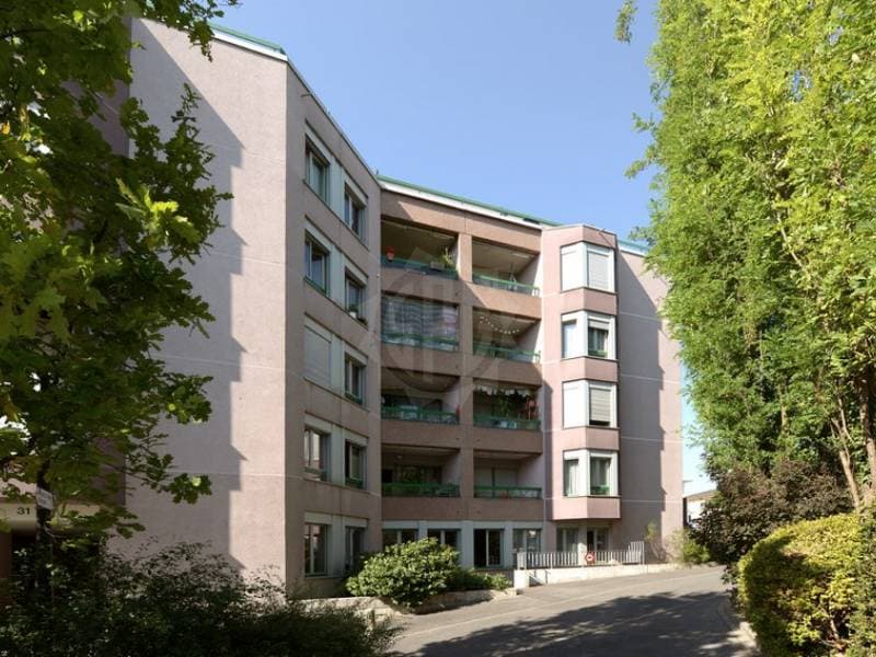 Büros - Petit-Lancy (1)