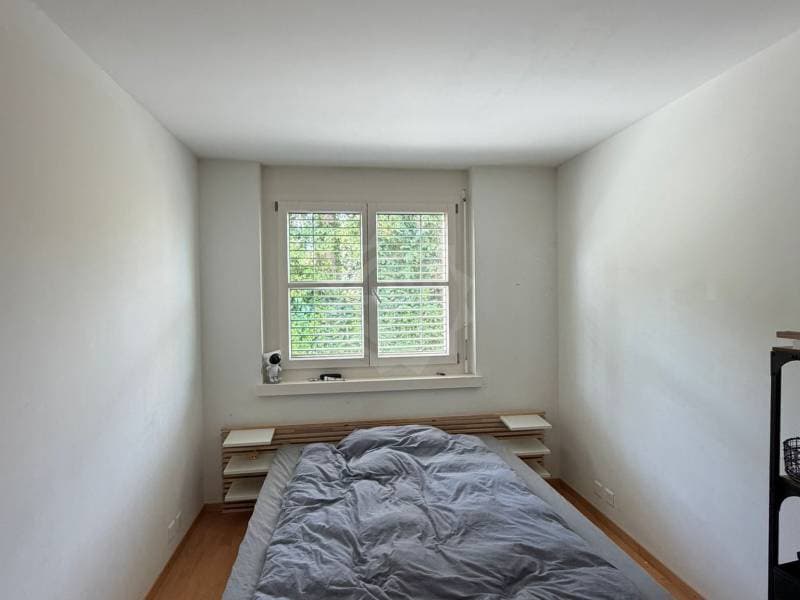 Appartamento piacevole - Nyon (3)