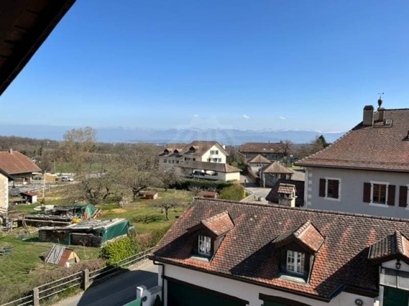 Charming apartment - La Rippe (2)