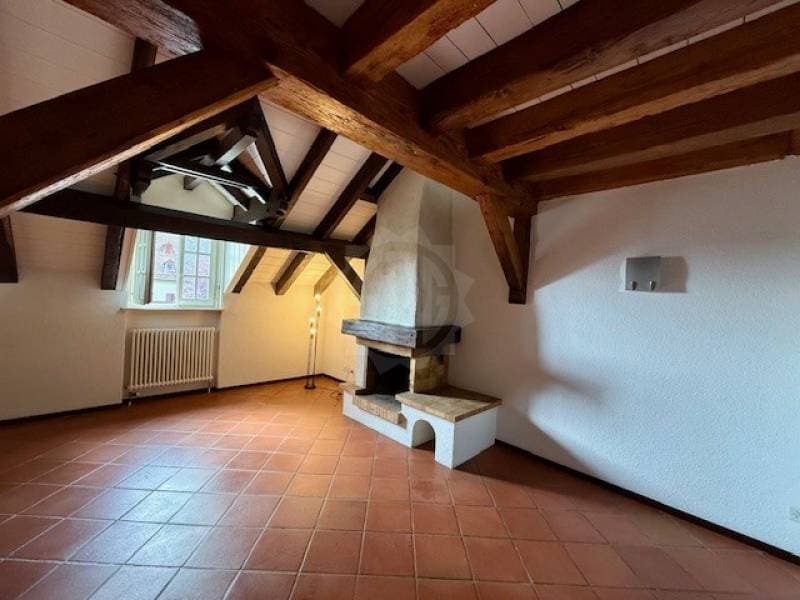 Charming apartment - La Rippe (4)