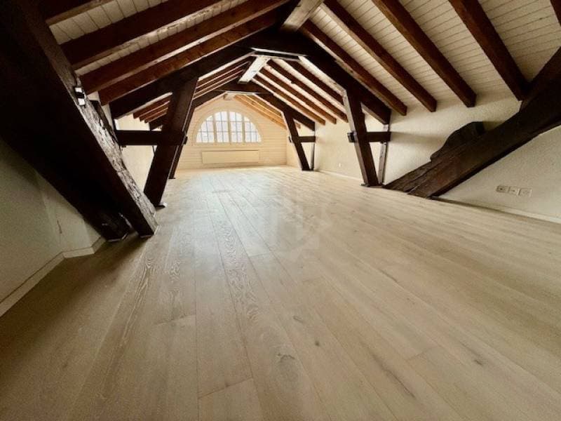 Charming apartment - La Rippe (7)