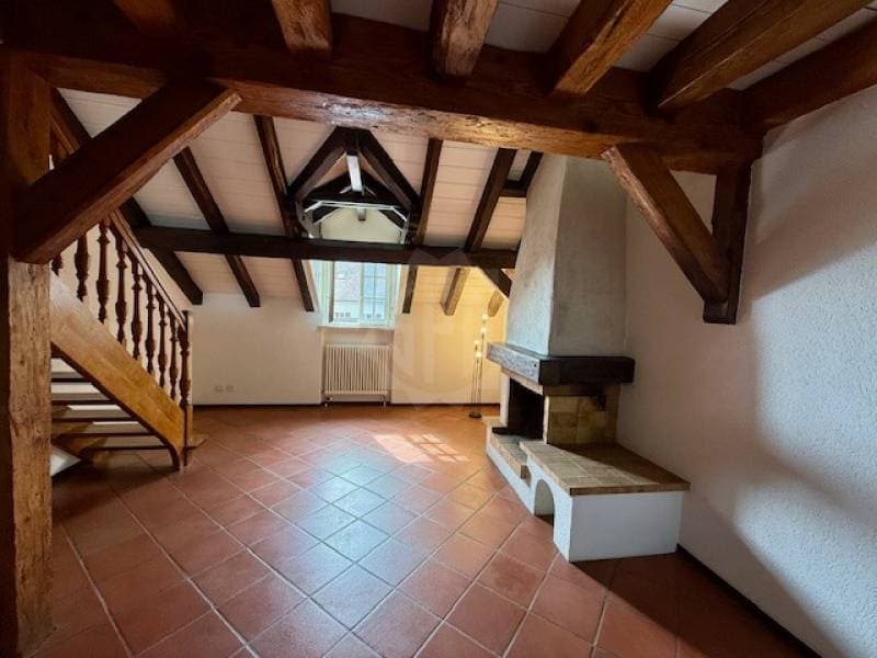 Charming apartment - La Rippe (3)