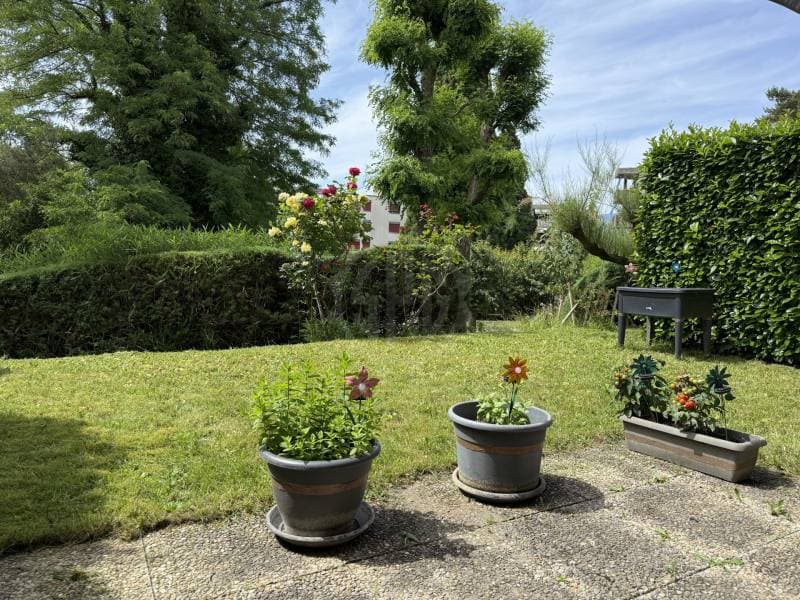 Schönes Apartment - Yverdon-les-Bains (1)