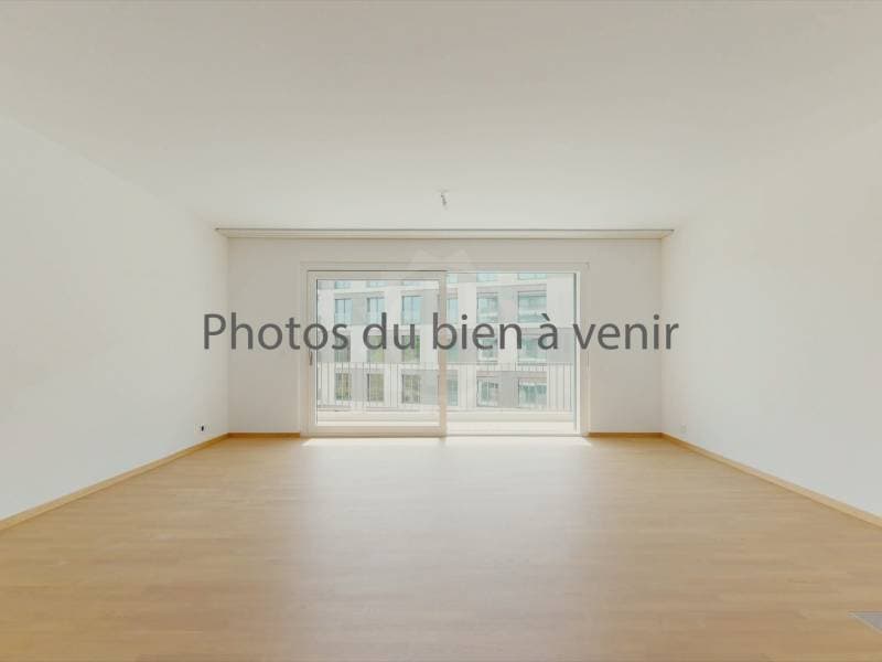 Appartamento - Ginevra (1)