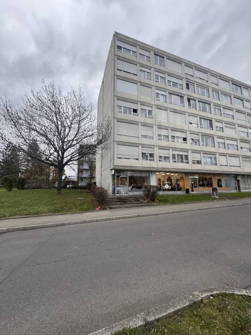 Appartamento - Meyrin (1)