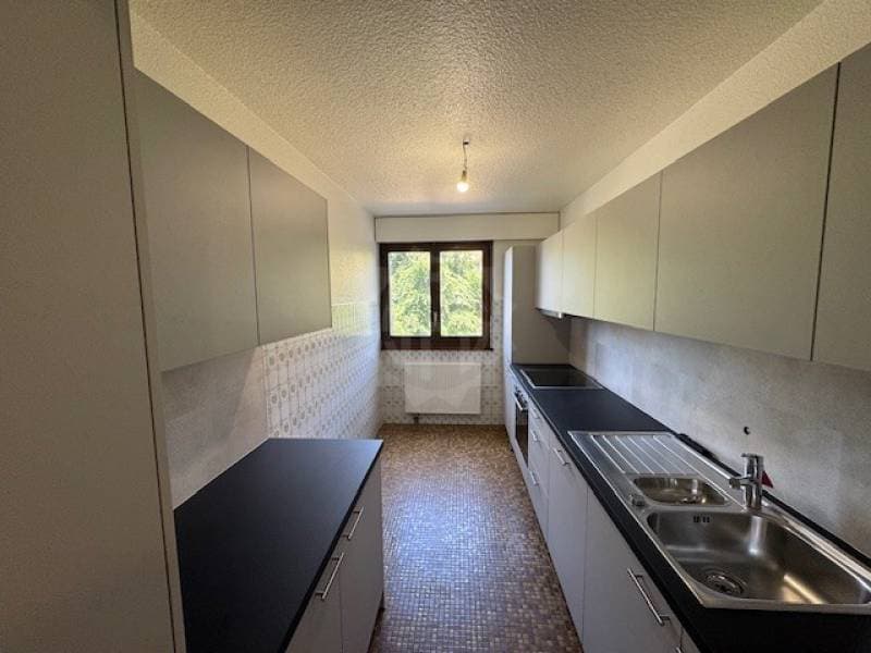 Charmantes Wohnung - Gland (5)
