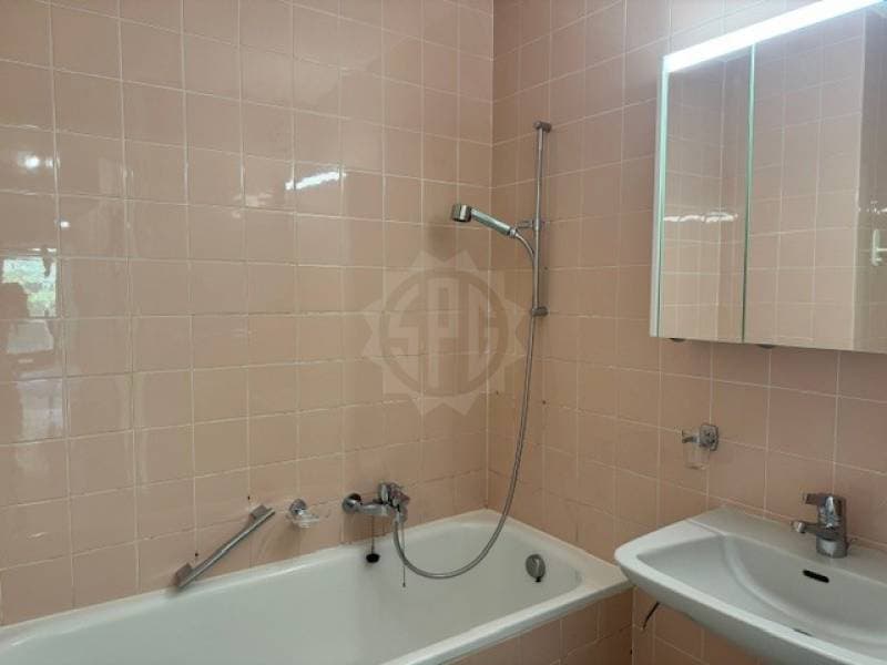 Charmantes Wohnung - Gland (4)