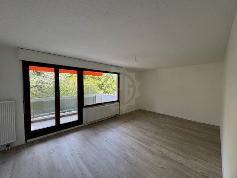 Charmantes Wohnung - Gland (1)
