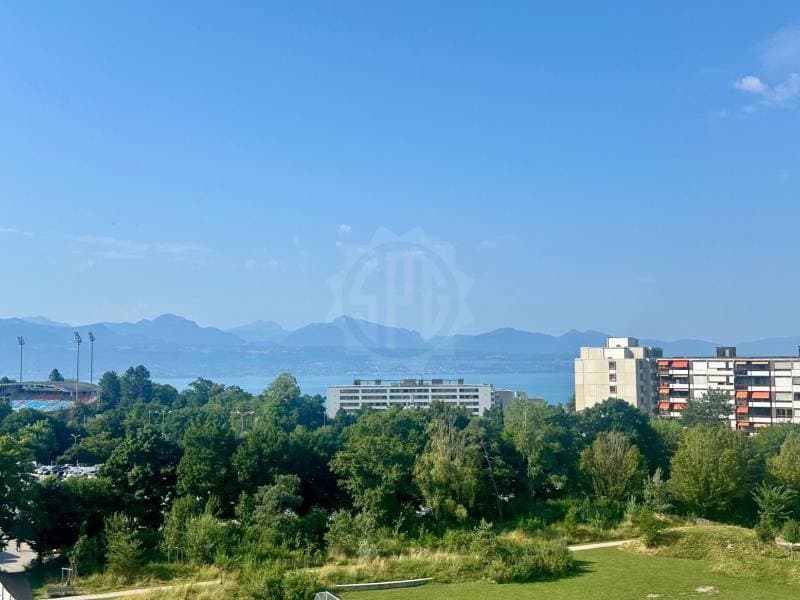 Super appartement - Lausanne (1)