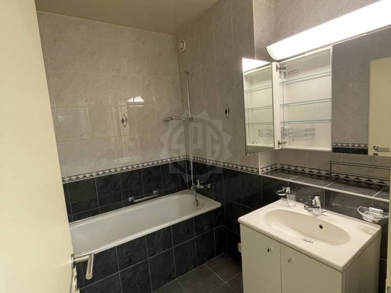 Charmant appartement - Genève (10)