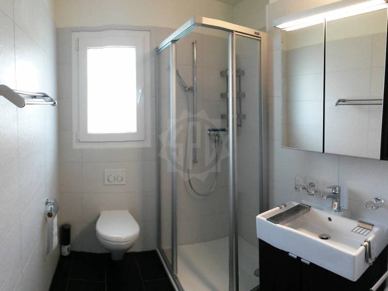 Super appartement - Renens VD (4)