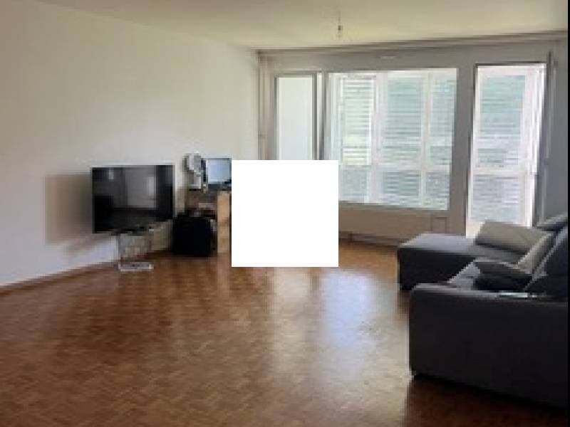 Appartement - Carouge (1)