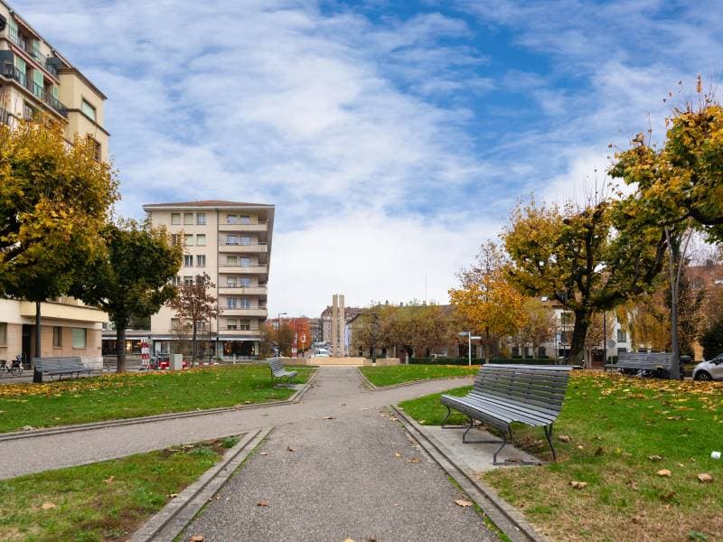 Wohnung - Carouge (4)