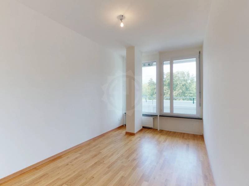 Beautiful apartment - Geneva (4)