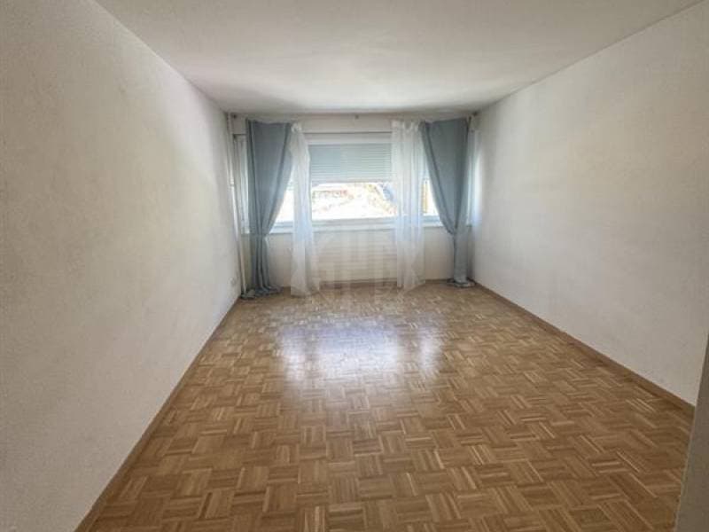 Charmantes Apartment - Genf (1)