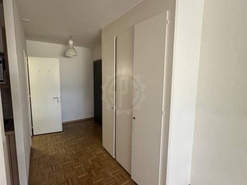 Charmantes Apartment - Genf (3)