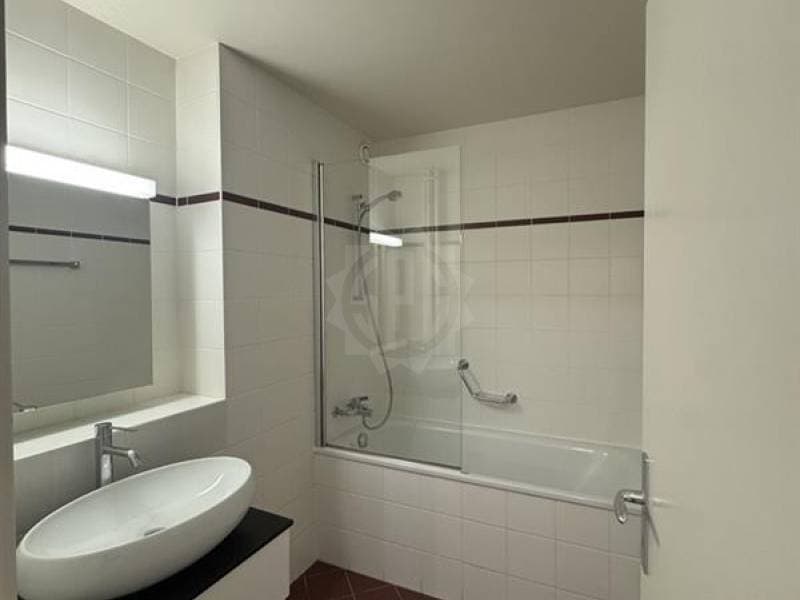 Bel appartement - Genève (2)