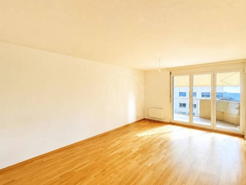 Appartement agréable - NYON (2)