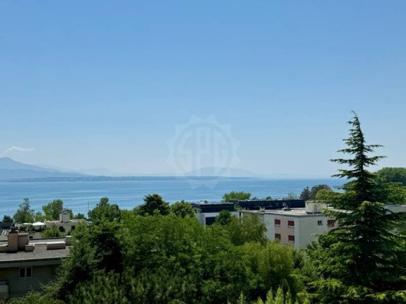 Bel appartement - Mont-sur-Rolle (2)