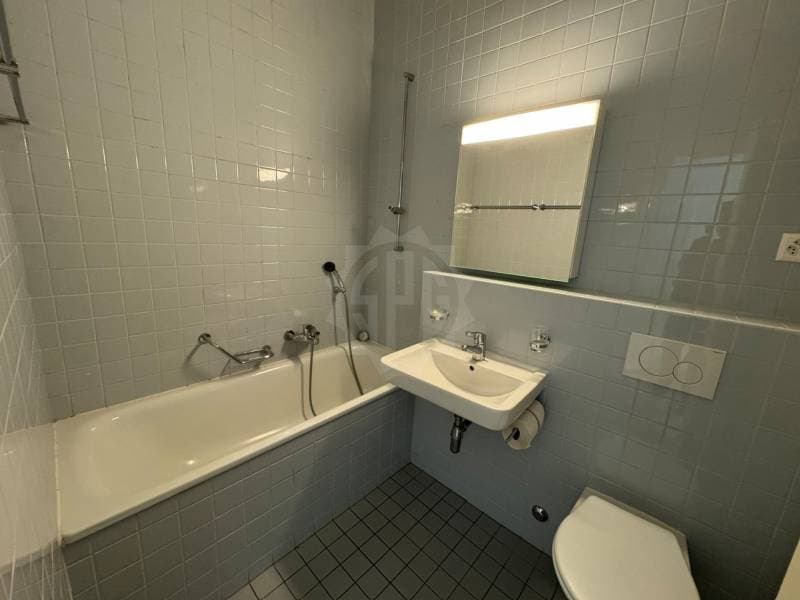 Appartement - Carouge (3)