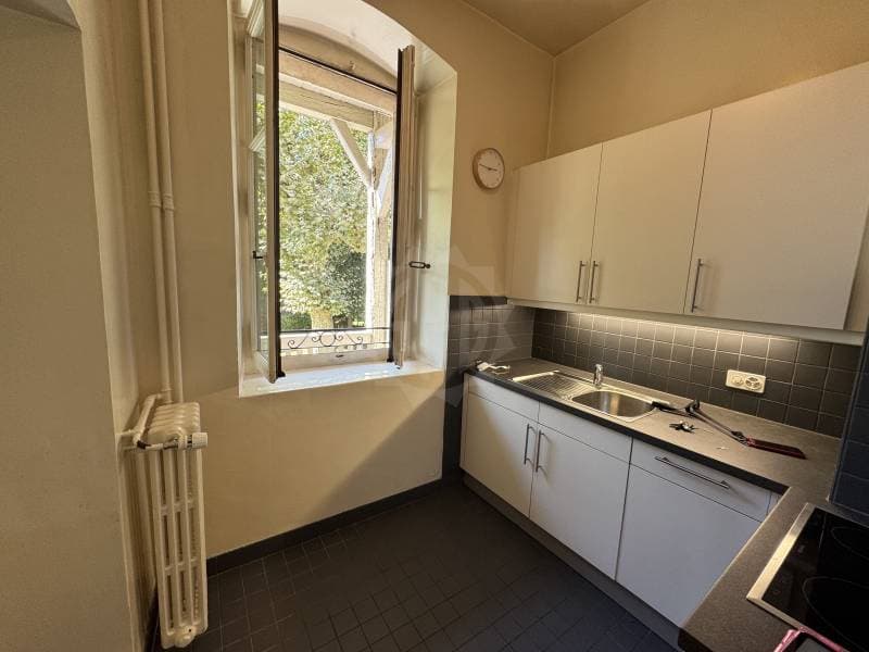 Charmant appartement - Carouge (2)