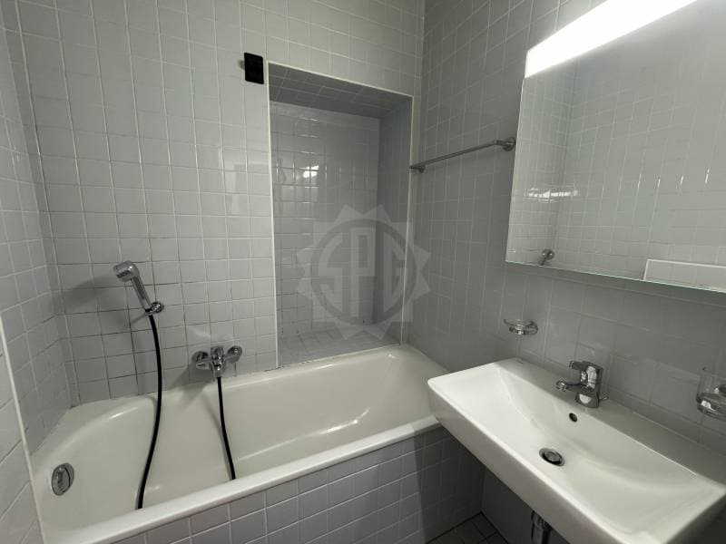 Charmant appartement - Carouge (4)