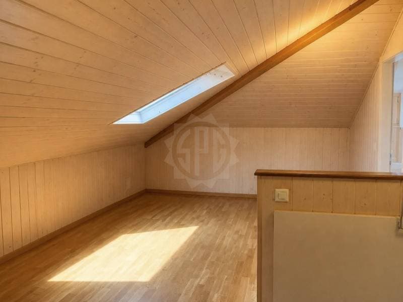 Magnifique appartement - Founex (7)