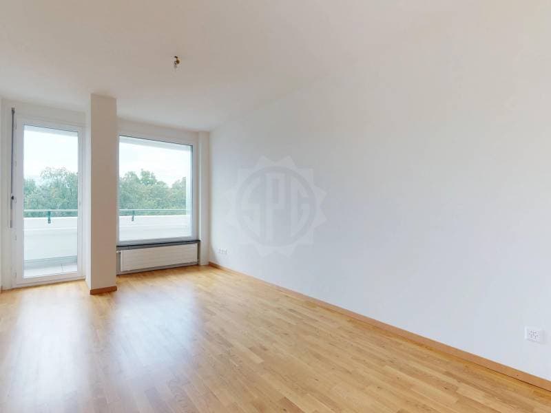 Bel appartement - Genève (1)
