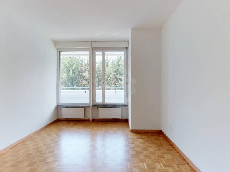 Bel appartement - Genève (3)
