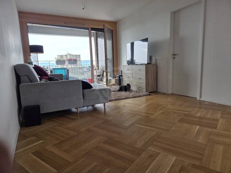 Super appartement - Lausanne (2)