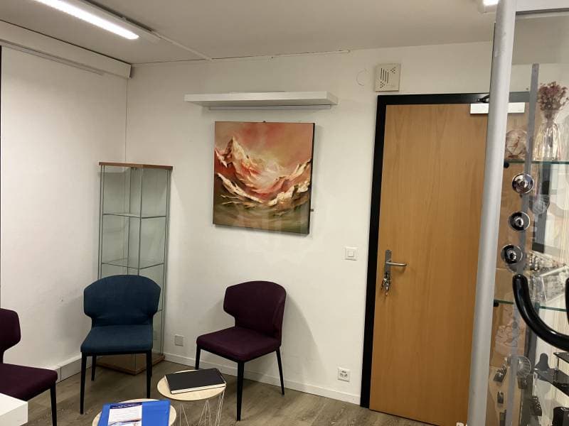 Bureaux agréable - NYON (2)