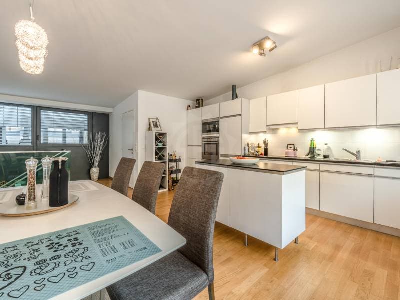 Magnifique appartement - Genève (6)