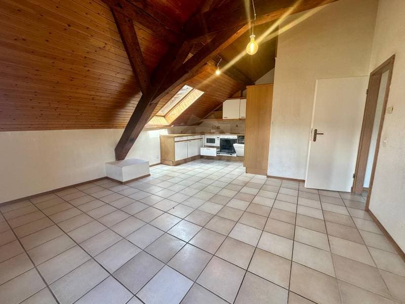 Charmant appartement - Genolier (2)
