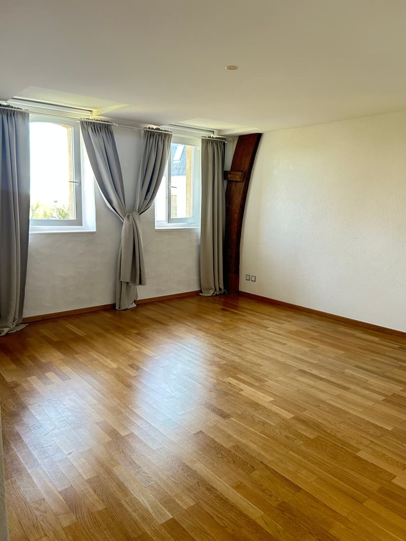Magnificent 7.5-room villa in Chigny (8)