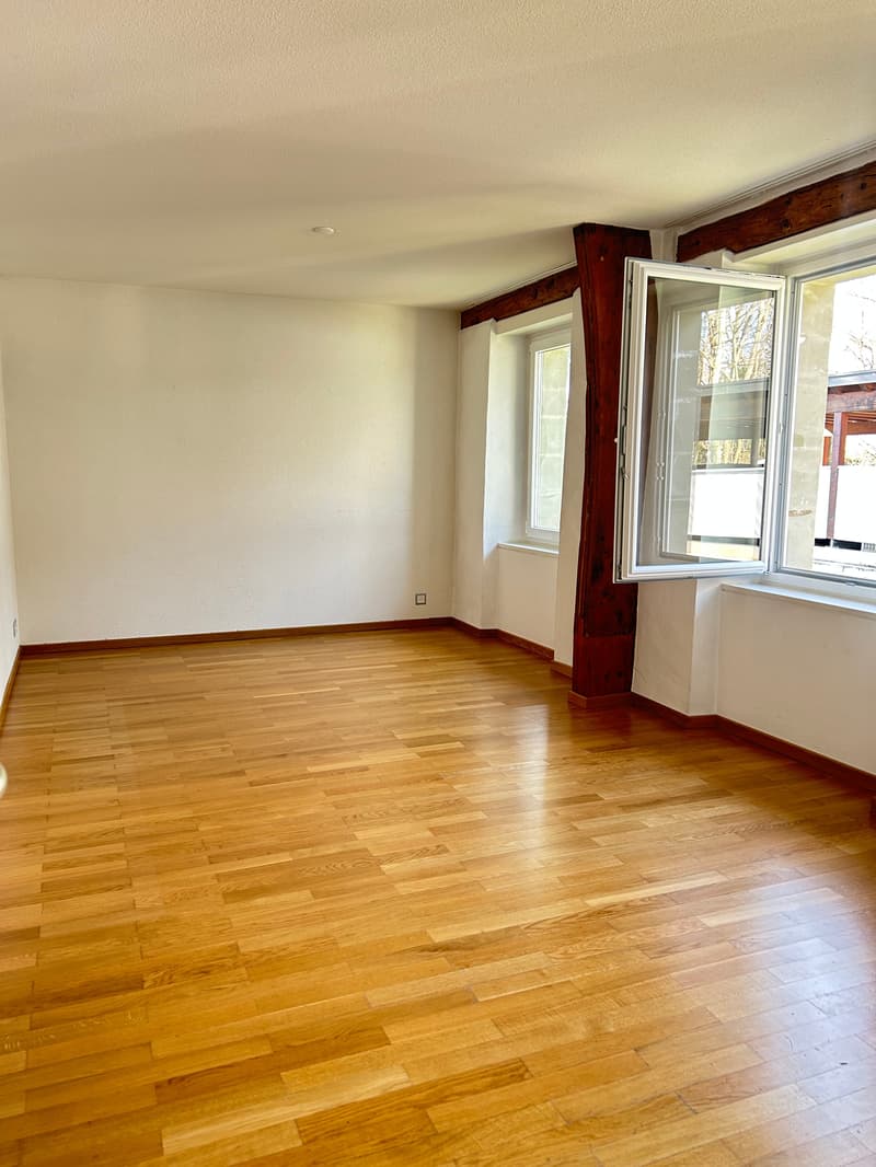 Magnificent 7.5-room villa in Chigny (14)