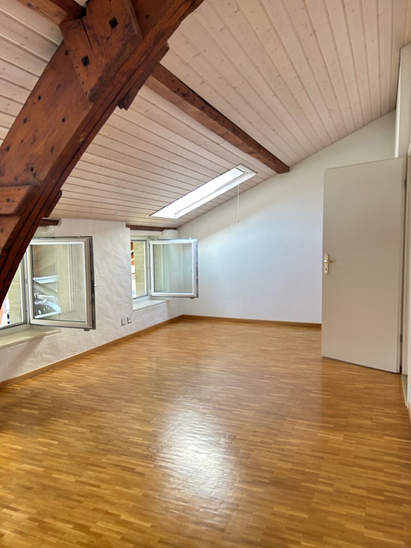 Magnificent 7.5-room villa in Chigny (5)