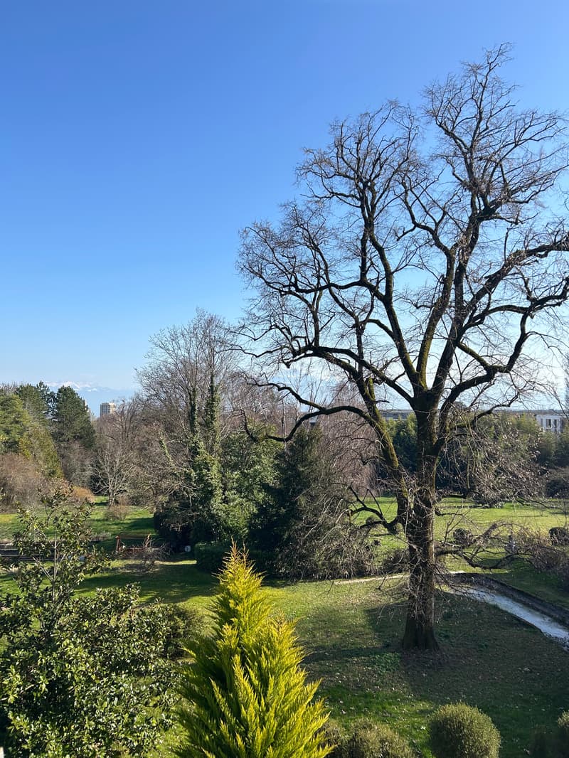 Magnificent 7.5-room villa in Chigny (7)